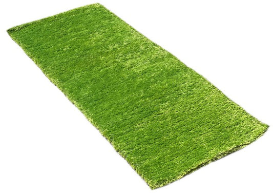 2' x 5' Feet Reversible Soft Shag Green Area Rug