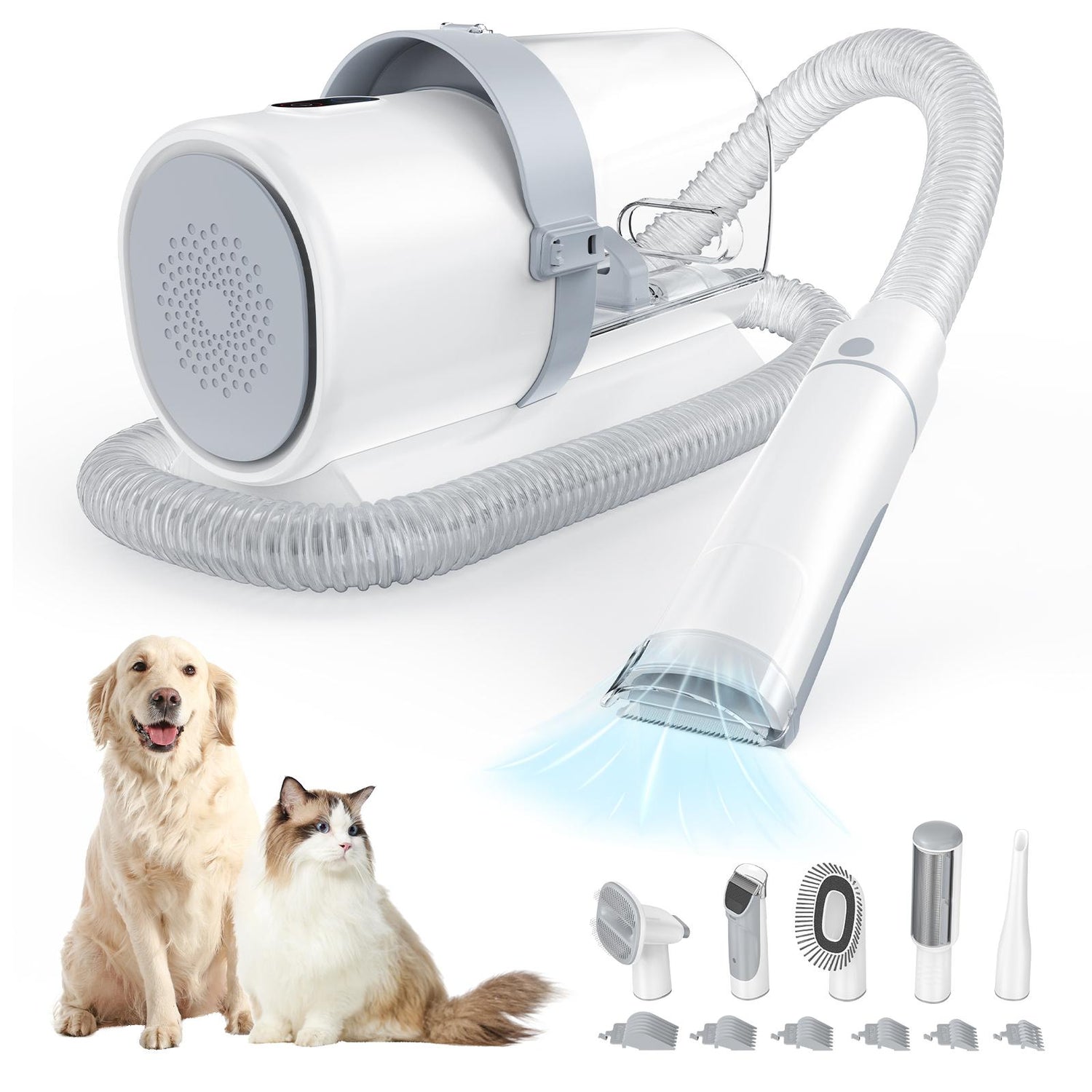 Pets Accessories