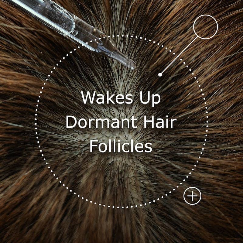 Hair Growth Serum | Scalp Serum | Hair Growth Oil